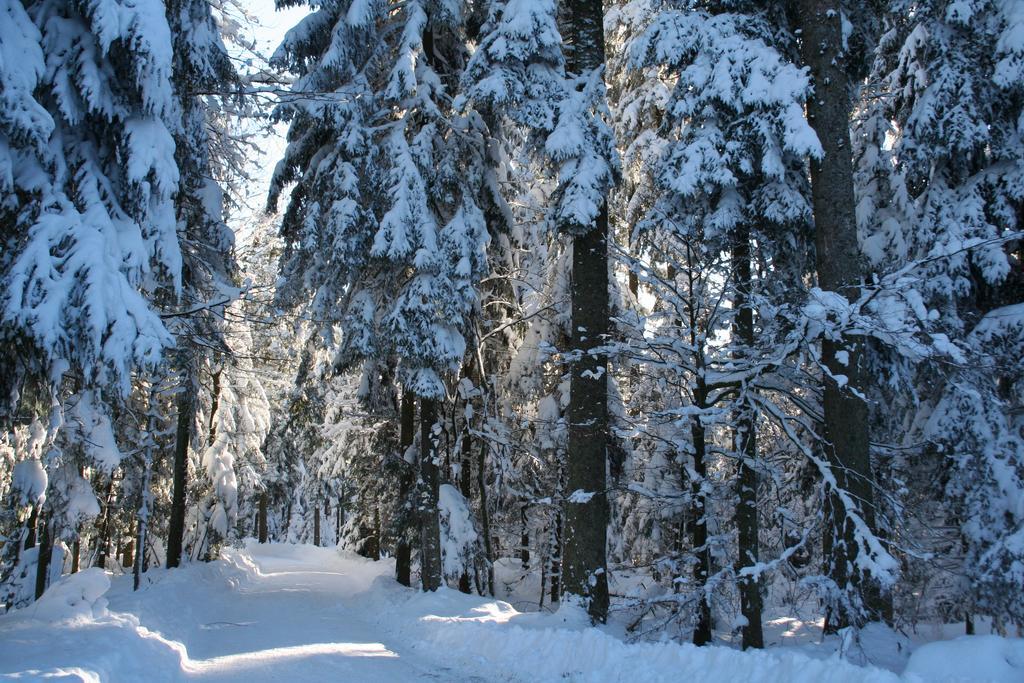 Hotel Sonnenhof Bad Wildbad Luaran gambar